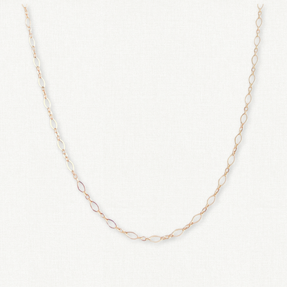 Essentials Long and Short Chain Necklace