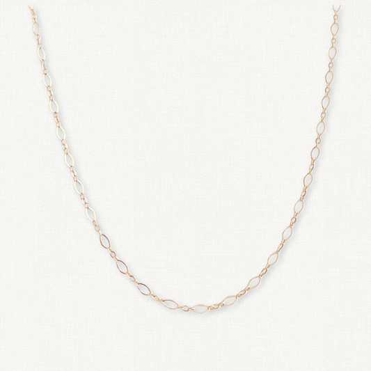 Essentials Long and Short Chain Necklace