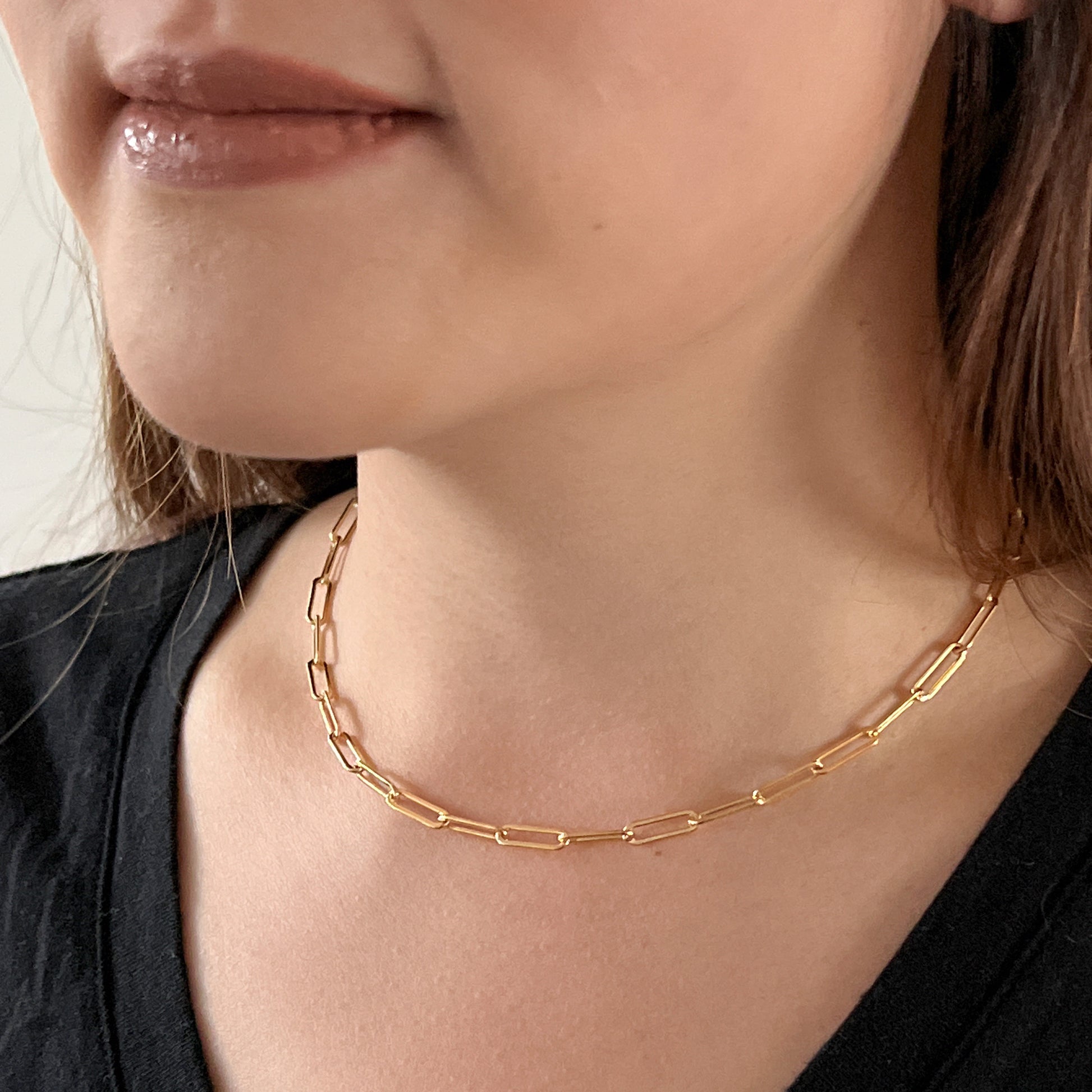 modeled paperclip chain necklace