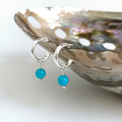 sterling silver turquoise huggie hoops hanging from shell